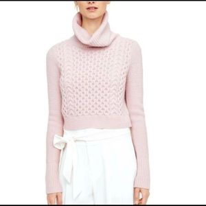 Club Monaco turtle neck sweater